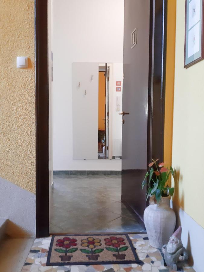 אופטיה Apartment Anka מראה חיצוני תמונה